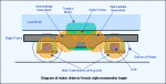 monomot.gif (9605 bytes)